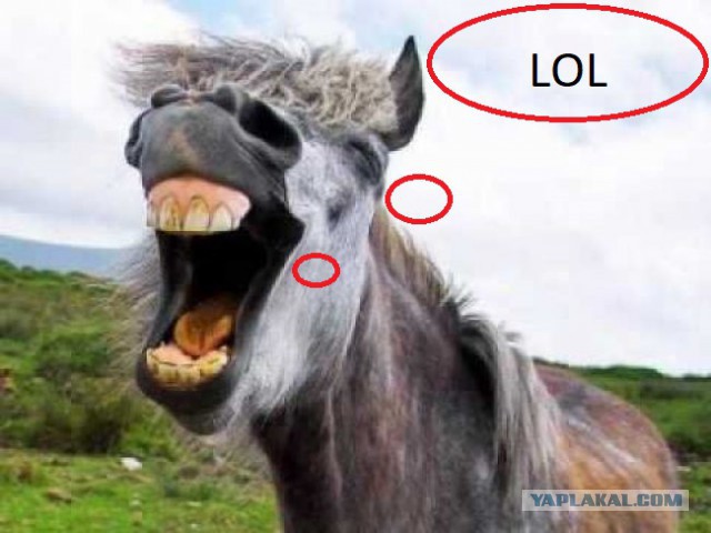 Раджу уронили