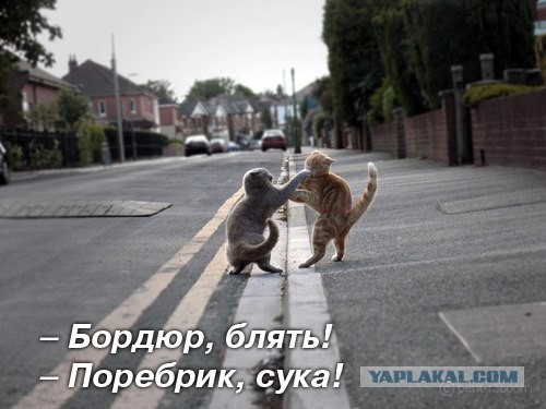 Извечный спор Москва vs Питер 