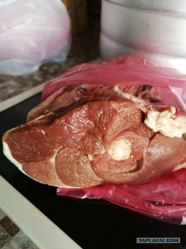 Это Плов! Вопрос к знатокам.