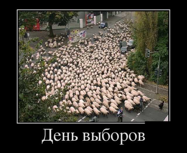 Пенсионеров посадят на шею детям: Дума приняла закон об алиментах для предпенсионеров