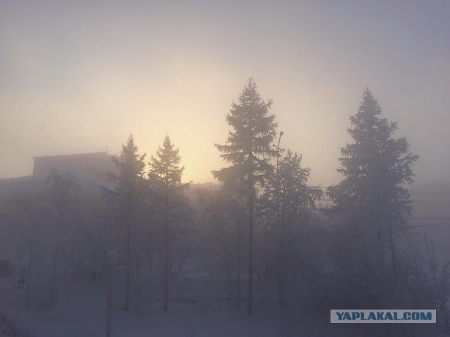 Аномальные морозы на Крайнем Севере: -50 градусов