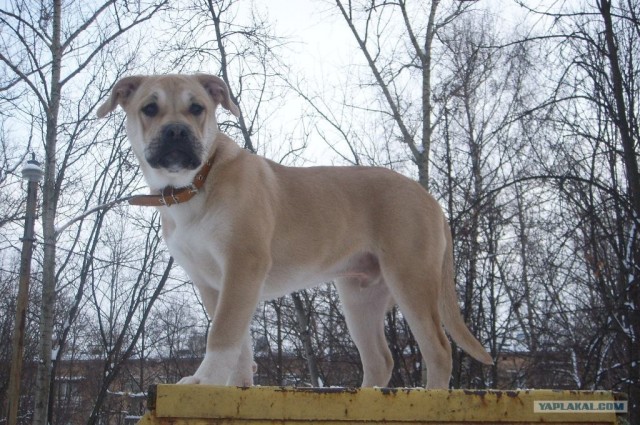 Можно я с краешку прилягу?