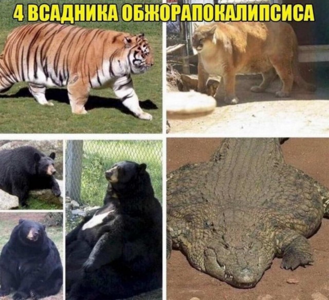 Картинки и мемы для настроения 16.08.2021