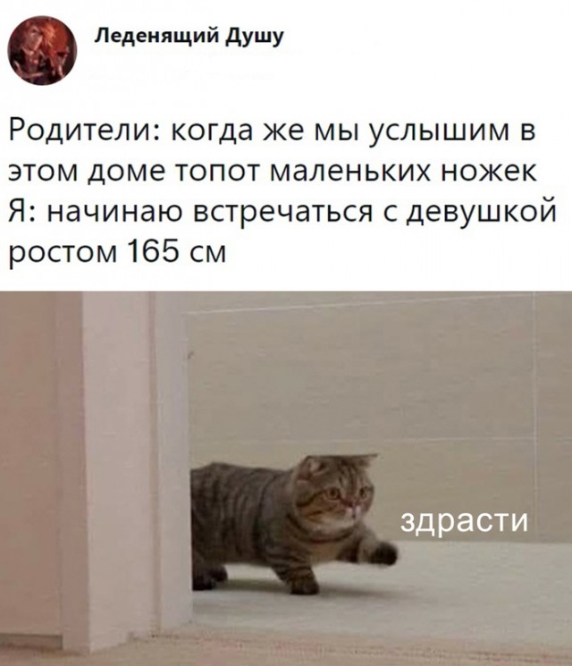 Картинки и мемы для настроения 08.09.2021