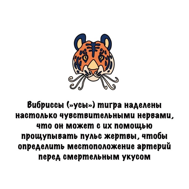 Картинки на субботу