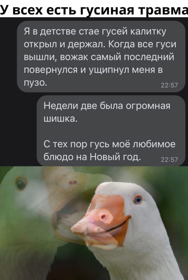 Так себе картинки 22.10.21
