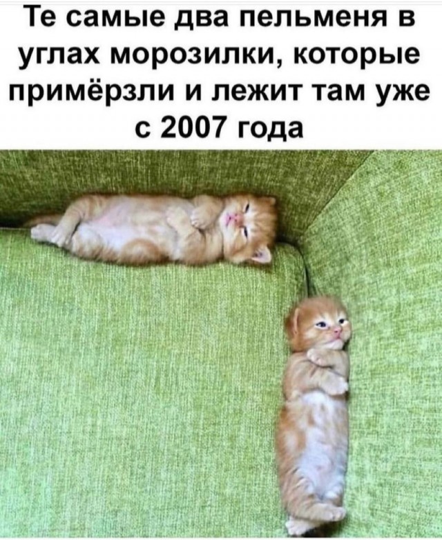 Картинки и мемы для настроения 28.10.2021