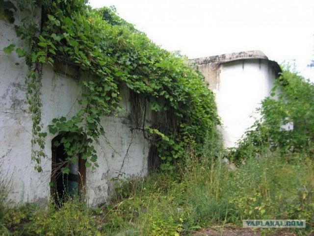 Форты Бреста