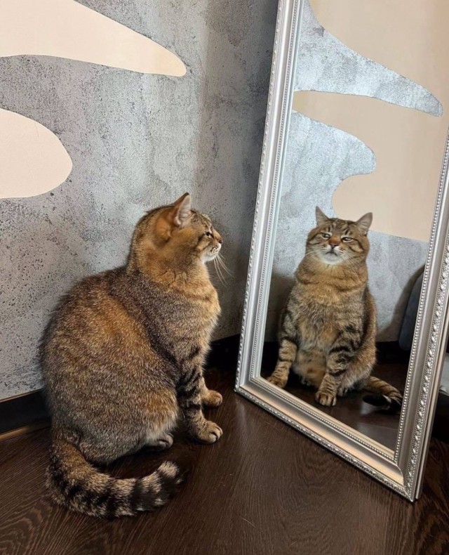 Весёлые картинки 13.04.2022