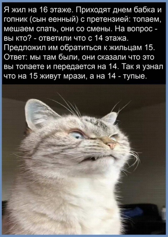Юмор из Сети 20.06.22