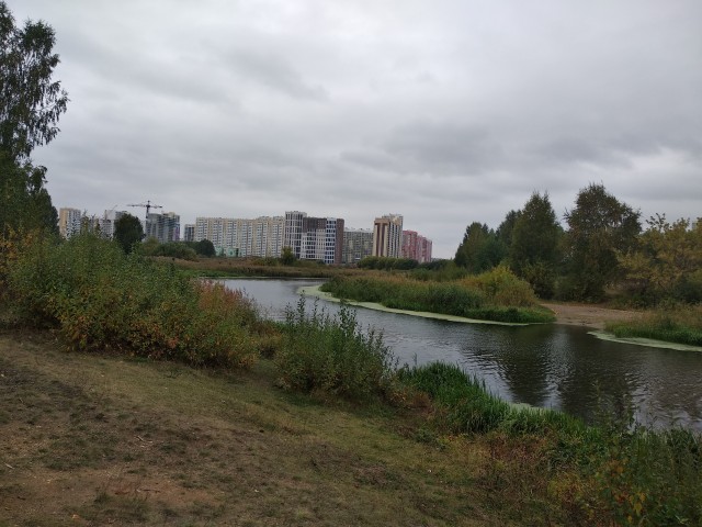 Челябинск Парк Гагарина или Городской Бор. Осень