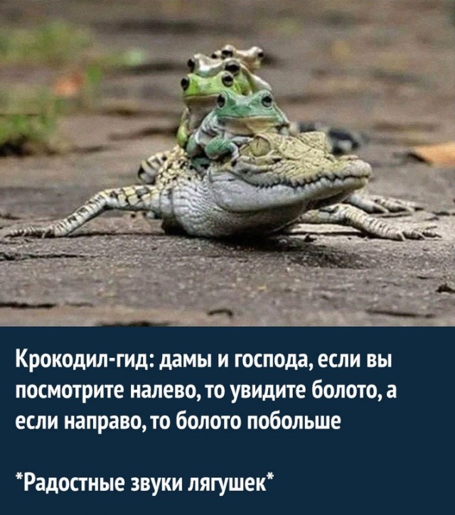 Картинки и мемы. Выходные близко...
