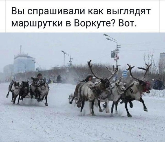 Как пережить полярную ночь