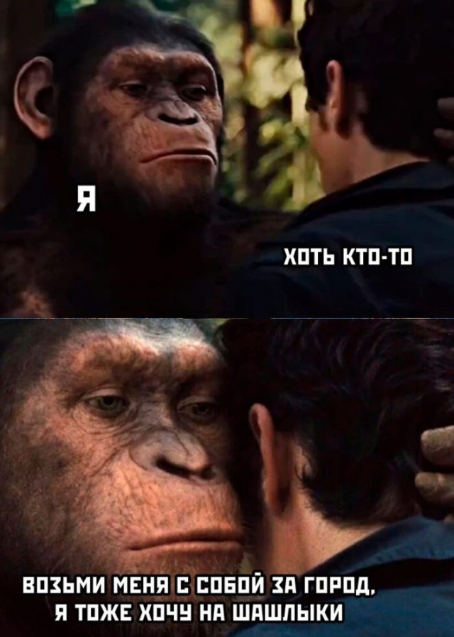 Картинки и мемы, всяко разно - 175