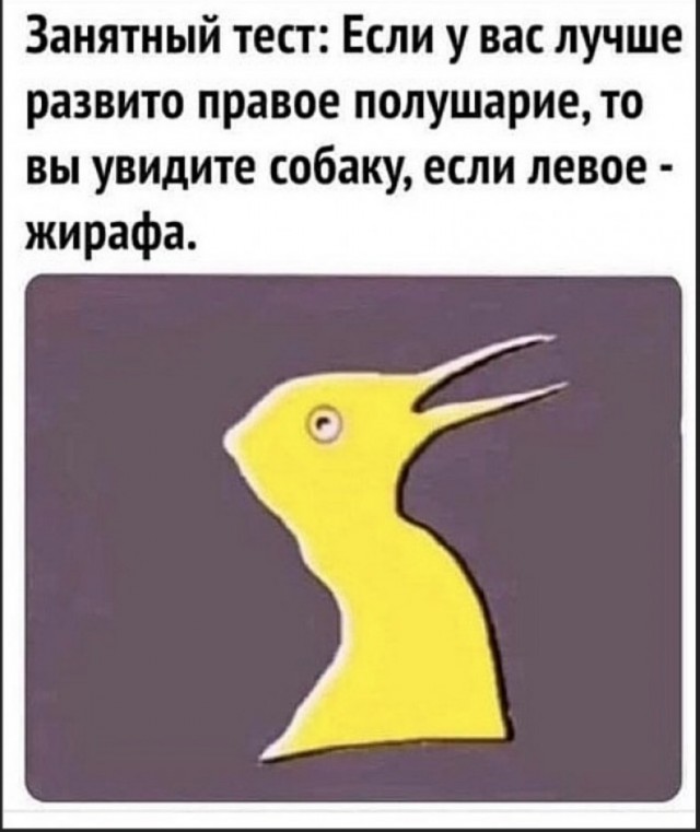 Так себе картинки 01.08.23