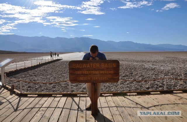 Ford Mustang напрокат