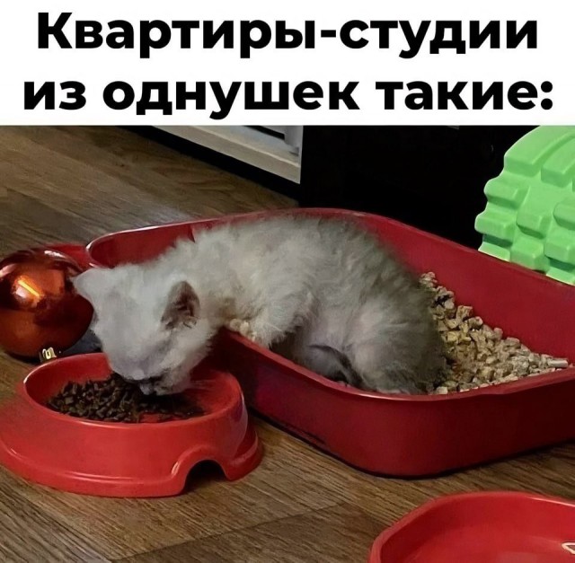 Всего понемногу. От 03.11.23