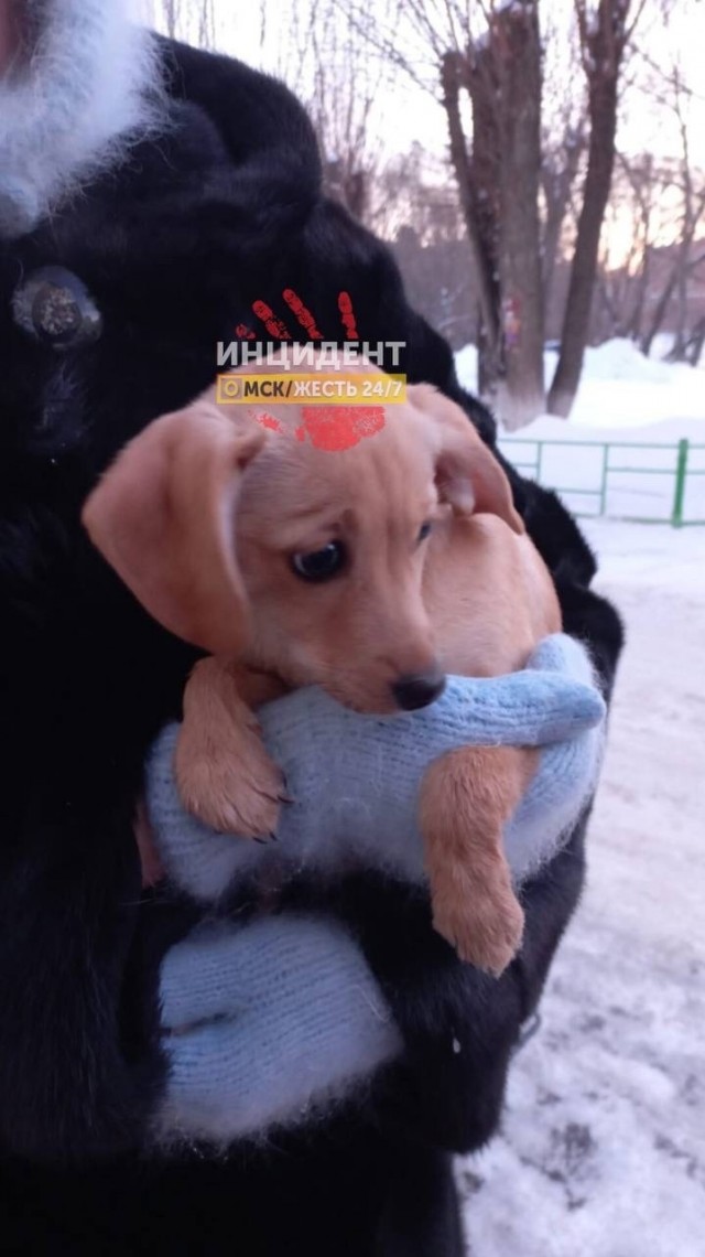 Максимально бл@дский поступок