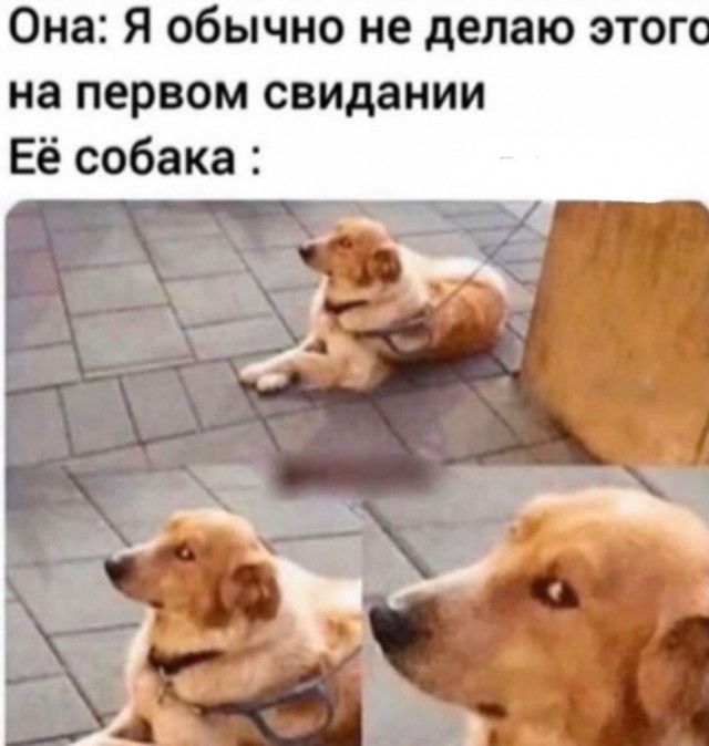 Весёлый полтишок 13.03.24
