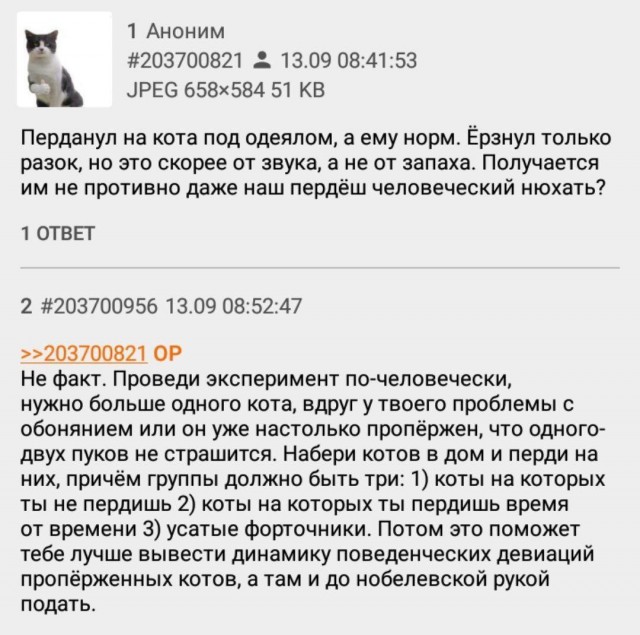 Так себе картинки 04.05.24