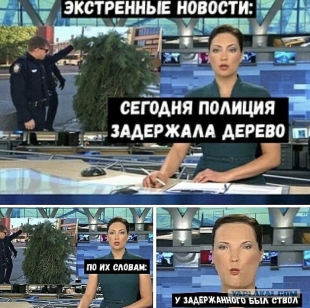Отряд быстрого деградирования