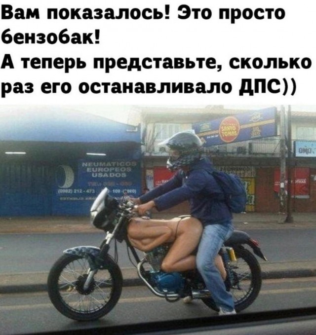 Немного забавных картинок от 22.08.2024