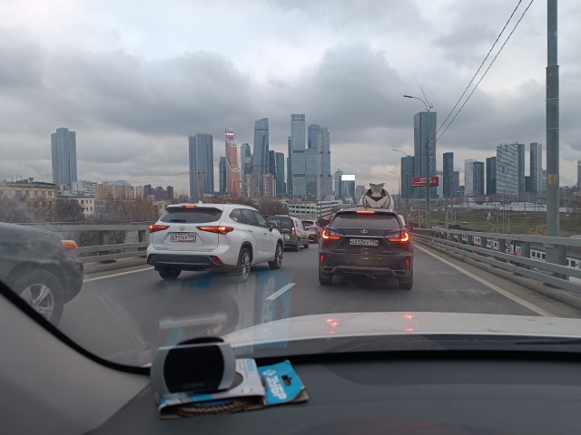 "Ландон из зе кэпитал оф Рашша?"