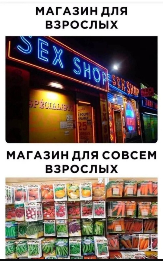 Смешные картинки с надписями и планы на лето 2025