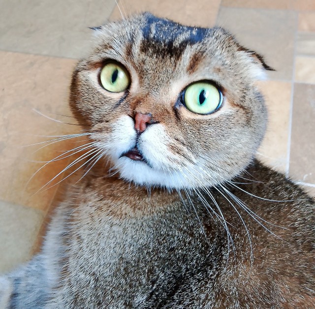 Мы опоздуны?