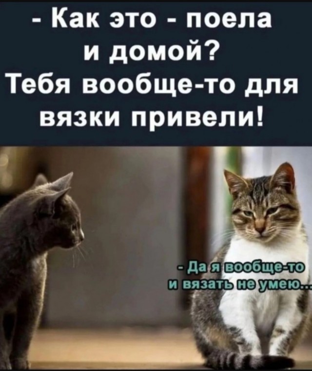 Картинки для деградации 24 (разной степени свежести)