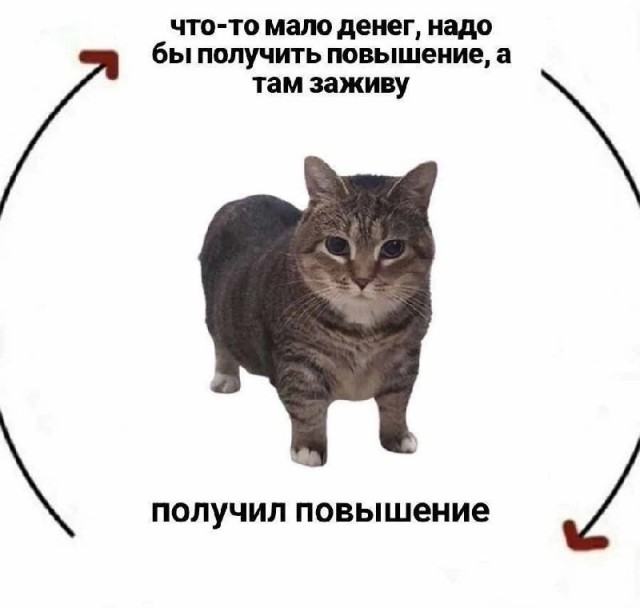 Так себе картинки 24.08.25
