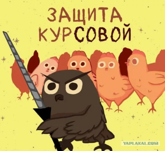 Сова оказывается ещё и защитник слабых :)