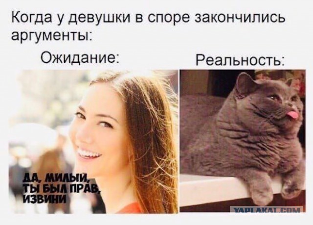 Забавные и не очень скромные картинки - 18