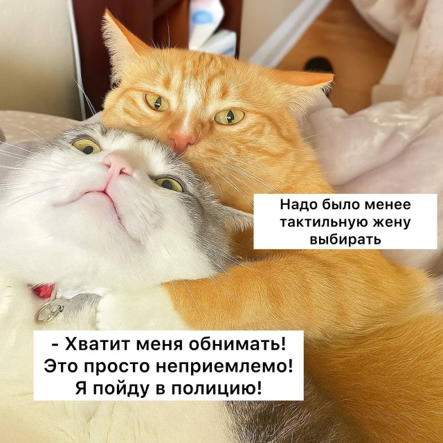 За объятья можно сесть в тюрьму, — юристы