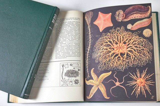 Книжные полки с книгами