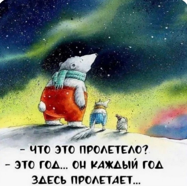 Так себе картинки 24.12.25