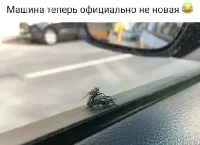 Картиночки, баянчики 09 февраля