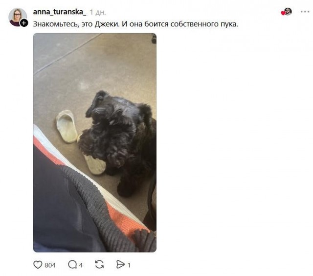 Истинные потомки волков!