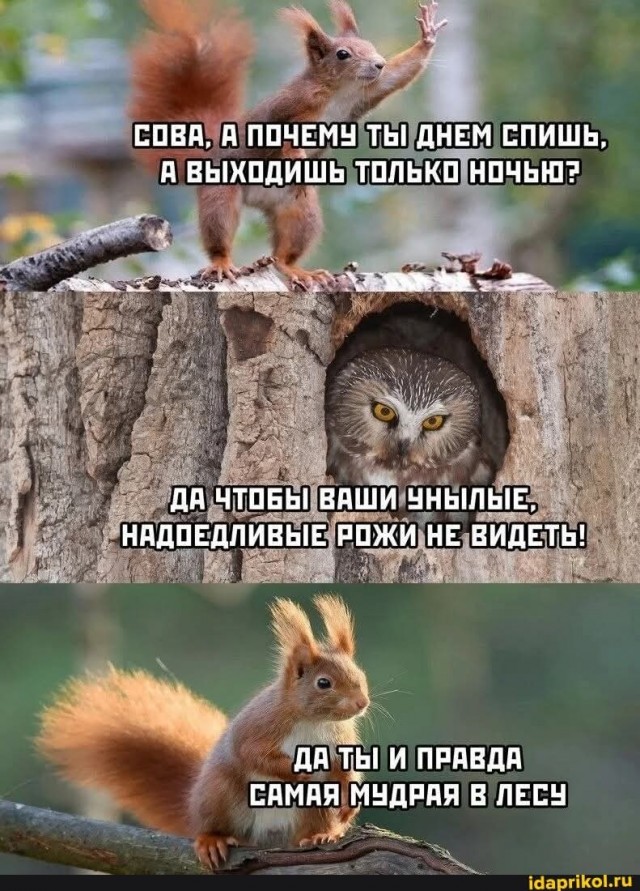 Маленькая пятница