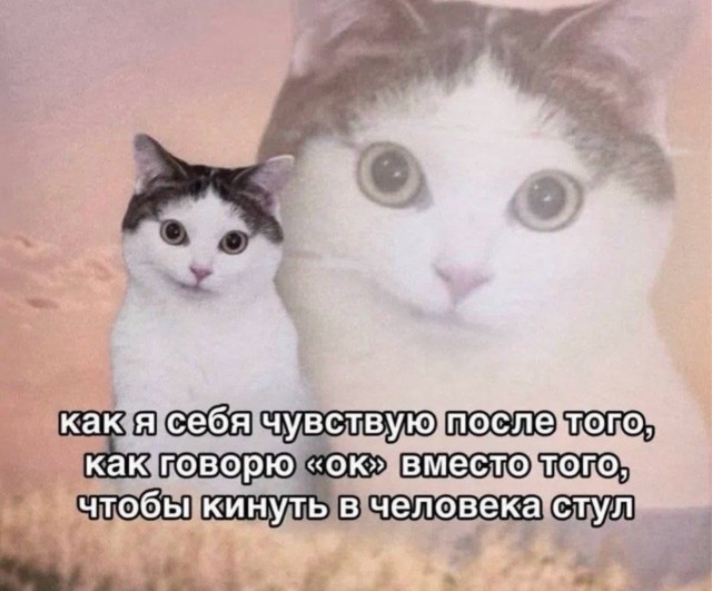 Веселое настроение в картинках 28.07.26