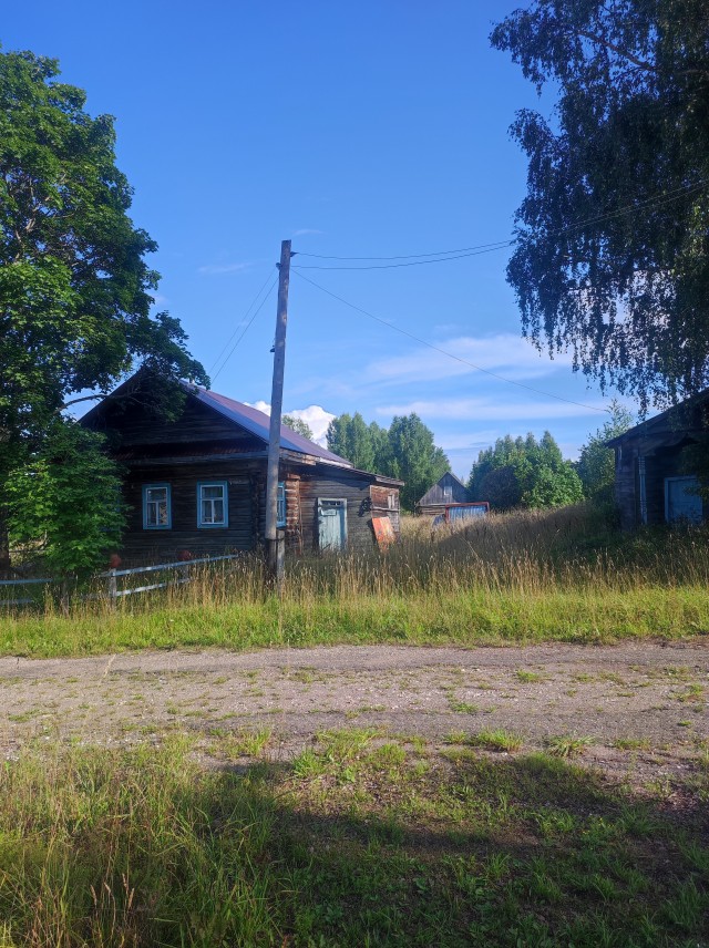 Каникулы у бабушки в деревне.