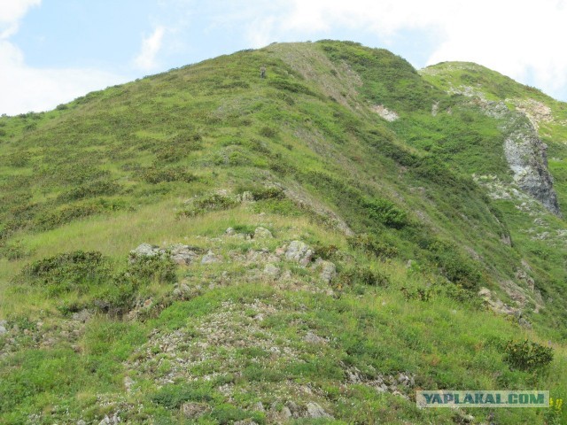 В горах. Абхазия.