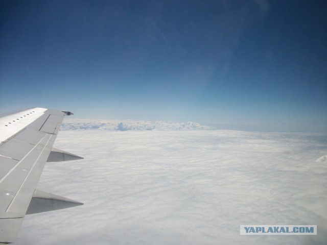 27 причин взять место у окна