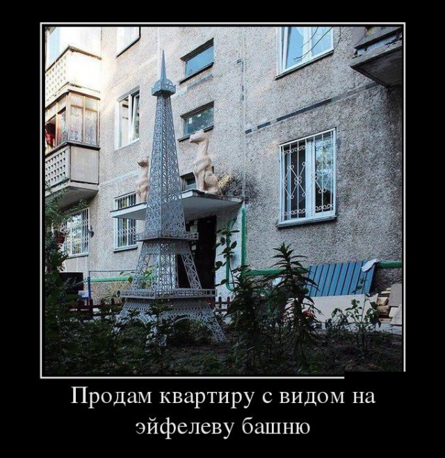 Подборка весёлых картинок