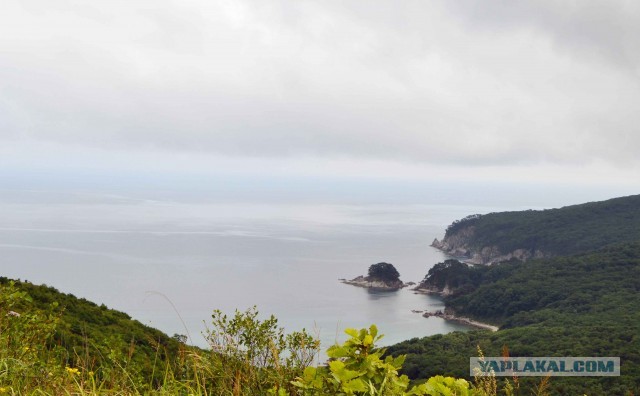 Бухта Теляковского