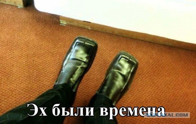 Веселое из сети