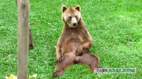 Развратные фото с голой Наташей Королевой