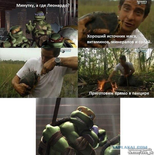 Вот кто настоящий шрэдер!