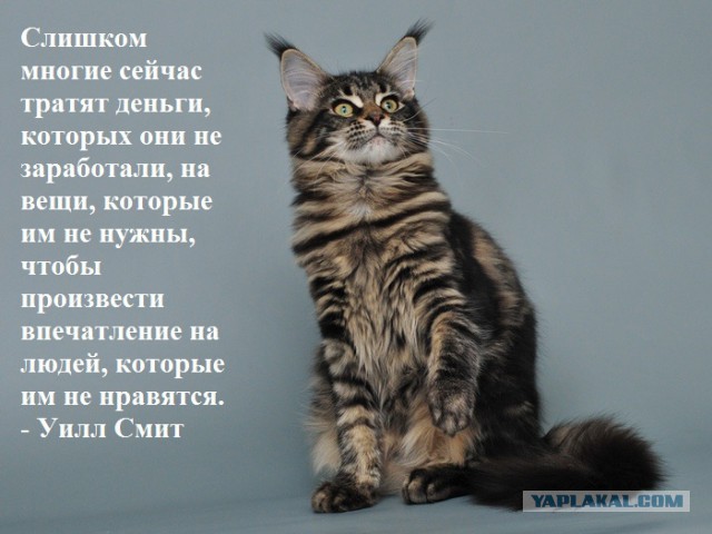 Комрады! Чёт меня бомбануло.