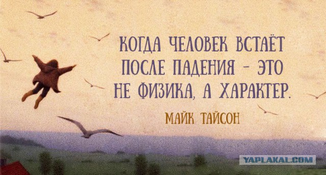 Подборка прикольных картинок